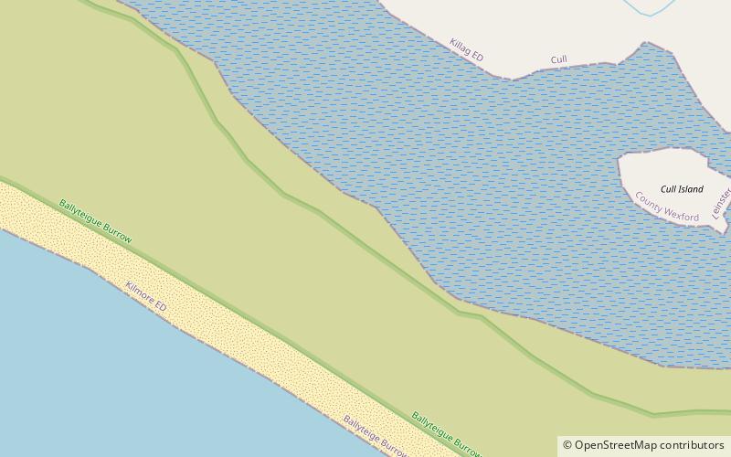 Ballyteigue Burrow location map