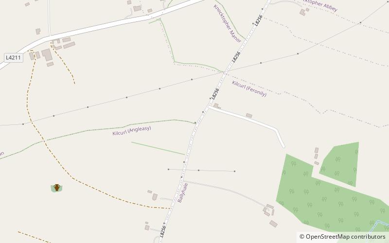 Ballyboodan Ogham Stone location map