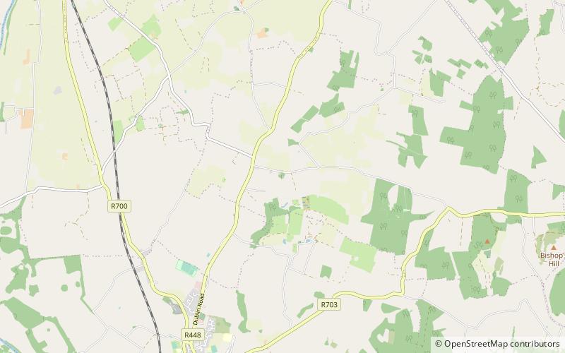 Kilfane Church location map