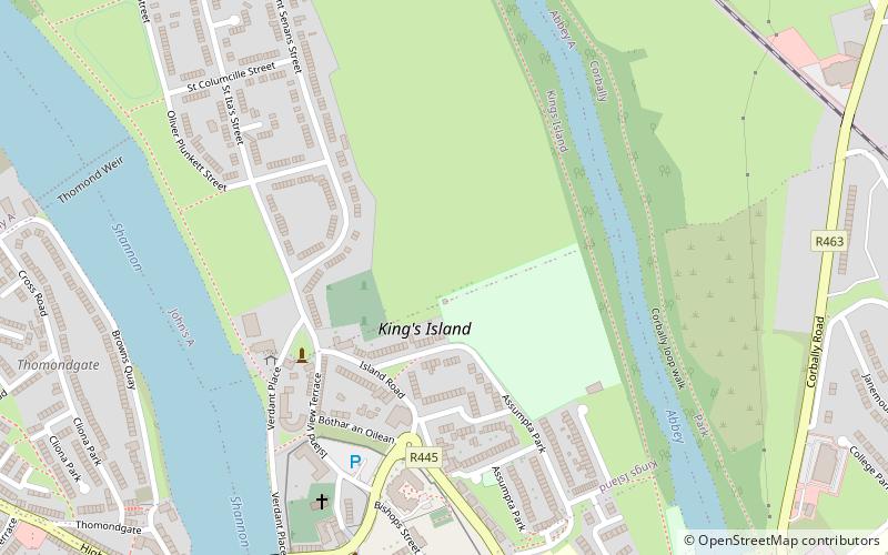 King's Island, Limerick location map