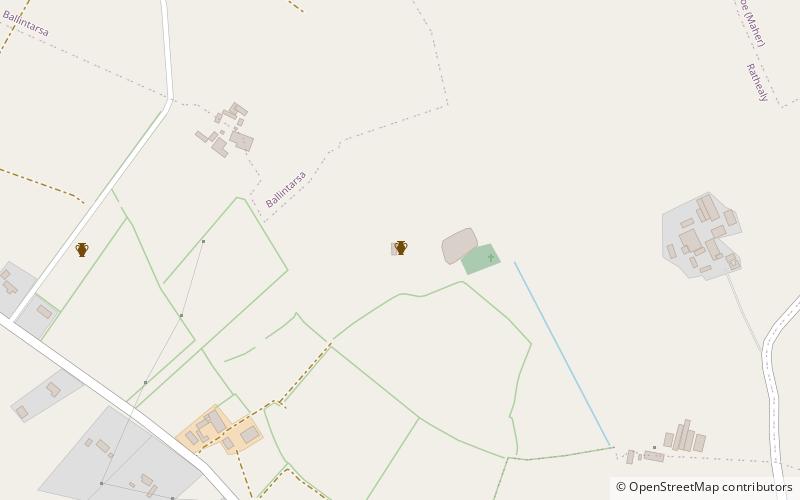 rathealy ringfort location map