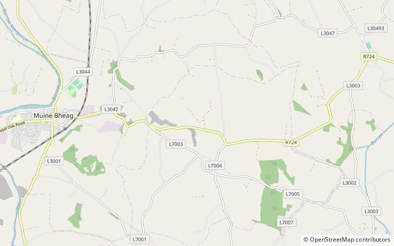 Ballymoon Castle location map