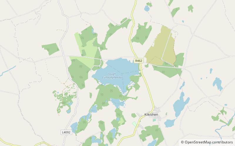 Lough Cullaunyheeda location map