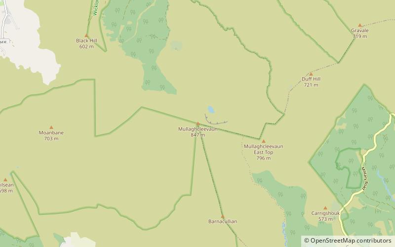 Mullaghcleevaun location map