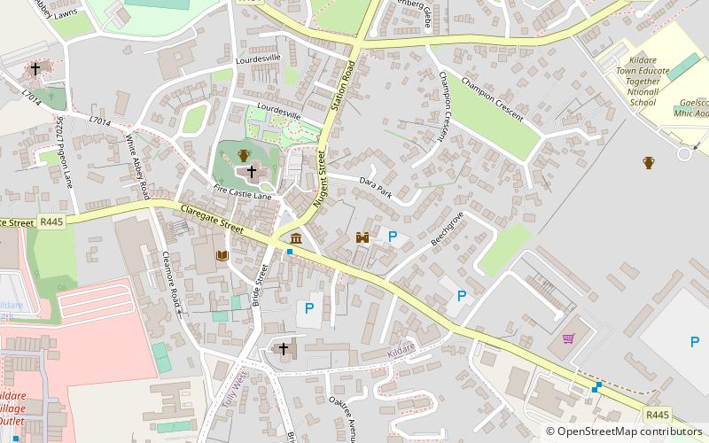 Kildare Castle location map