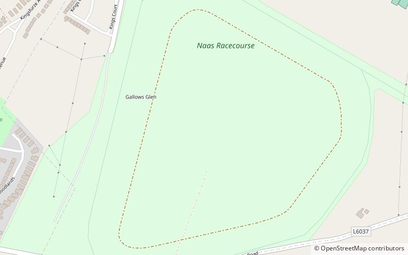 naas racecourse location map