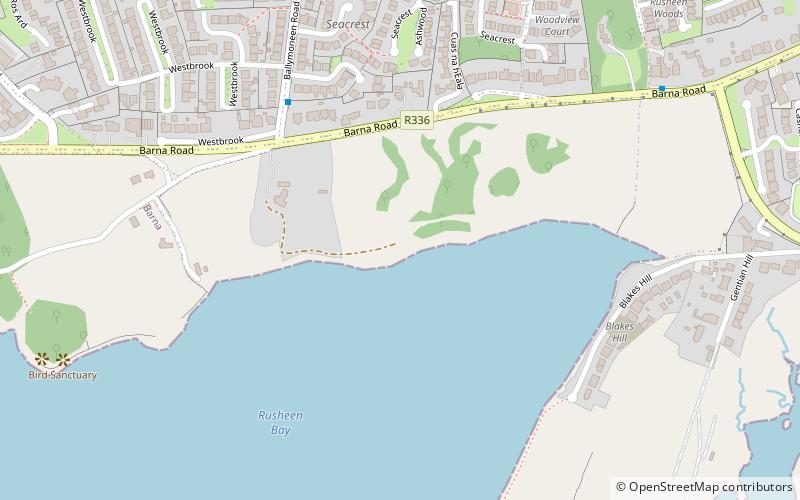 Rusheen Bay Windsurfing location map