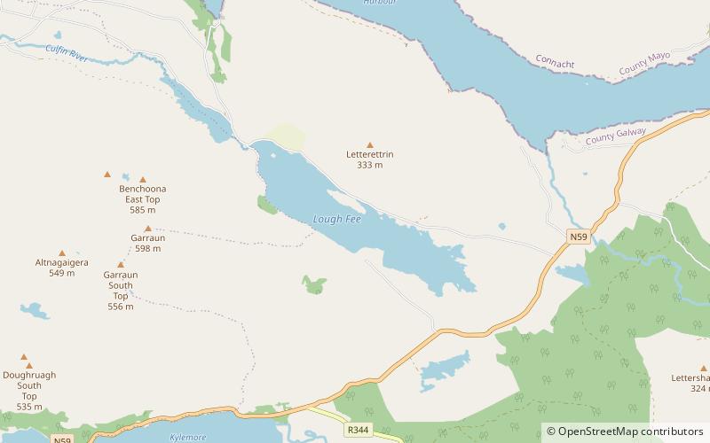 Lough Fee location map