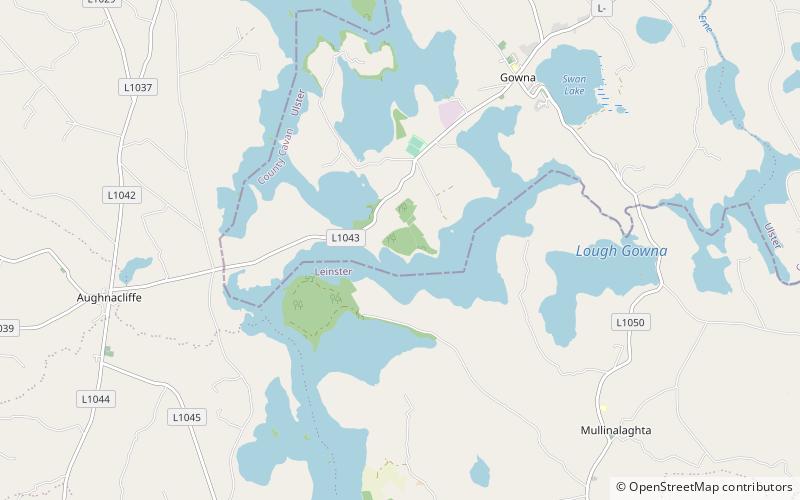 Lough Gowna location map