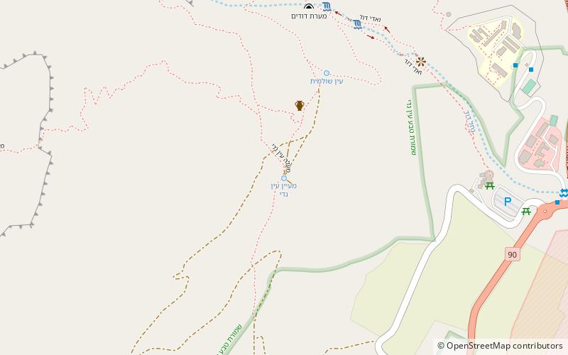 ein gedi location map