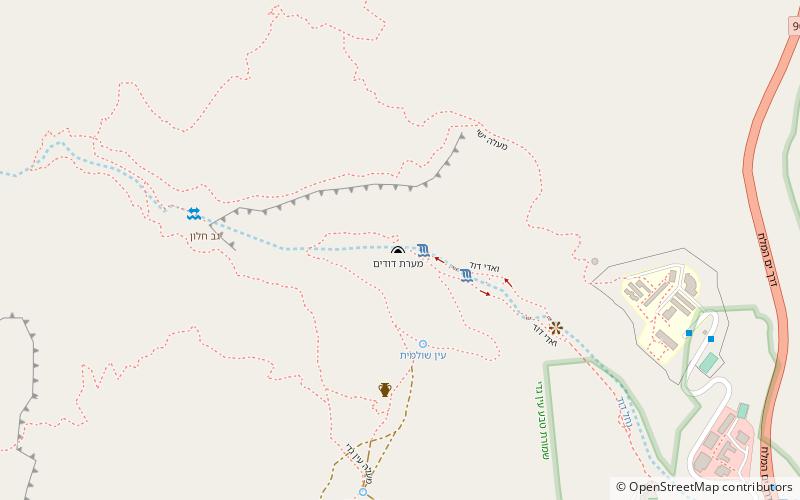 dudims cave ein gedi location map