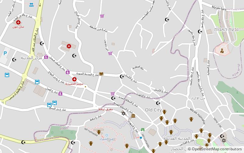 Sheikh Ali al-Bakka Mosque location map