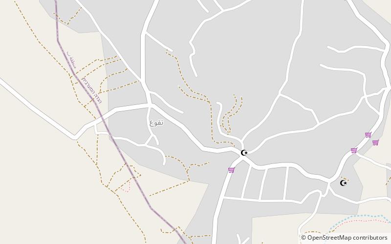 Teqoa location map