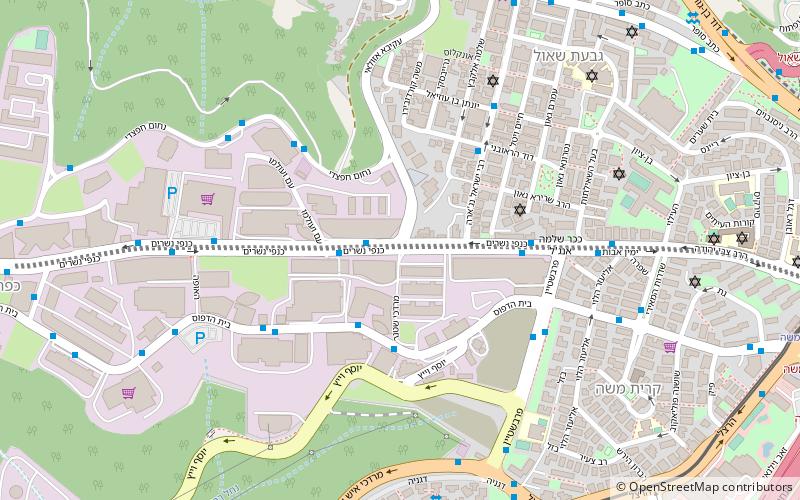 Kanfei Nesharim Street location map