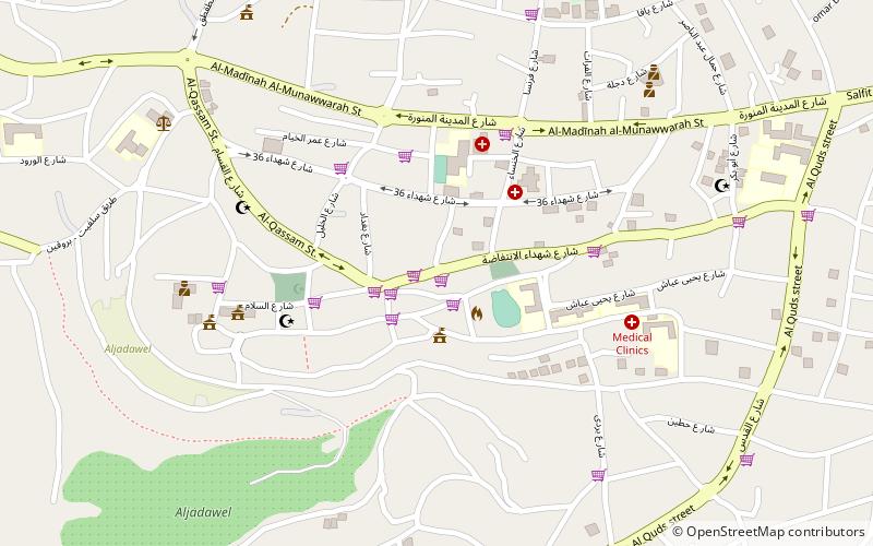 Salfit location map