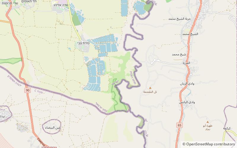 Tel Tsaf location map