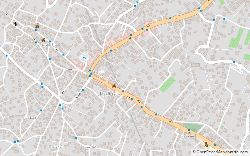 Daliyat el-Carmel location map