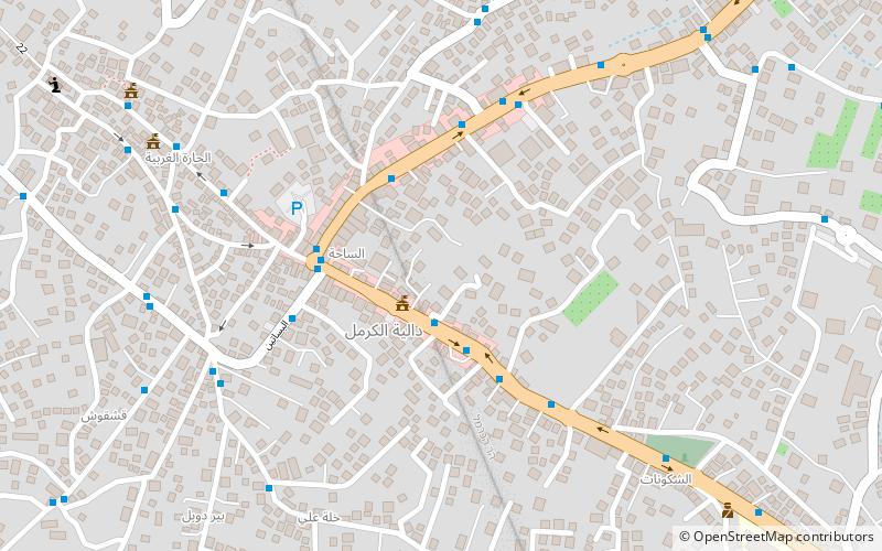 Daliyat al-Karmel location map