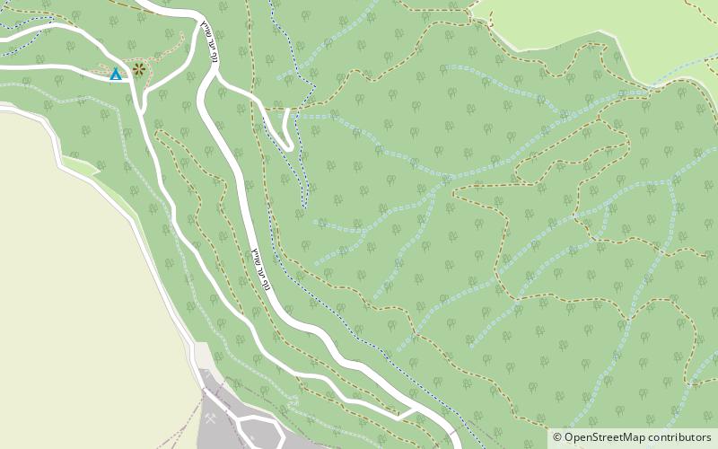 swiss forest tyberiada location map