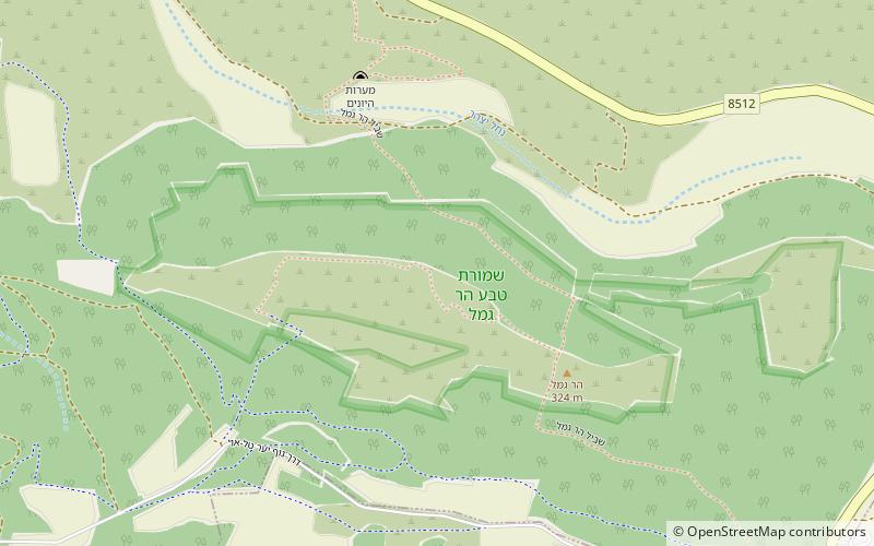 Hayonim-Höhle location map