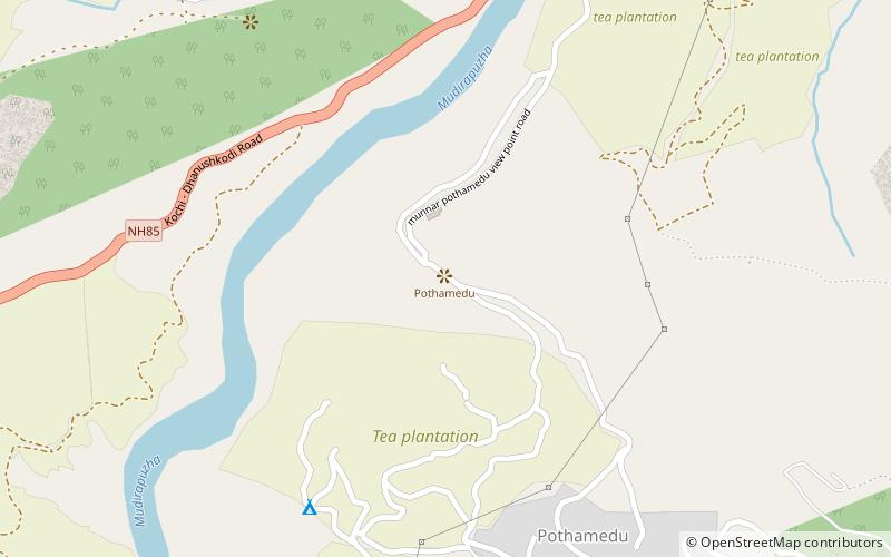 pothamedu view point munnar location map