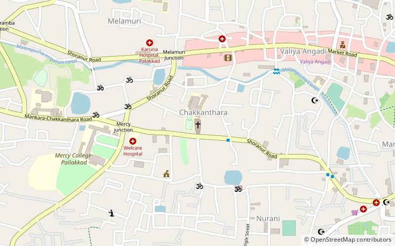 st raphaels cathedral palakkad location map