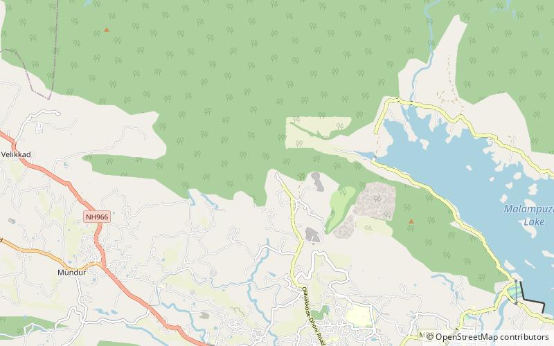 Dhoni, Palakkad location map