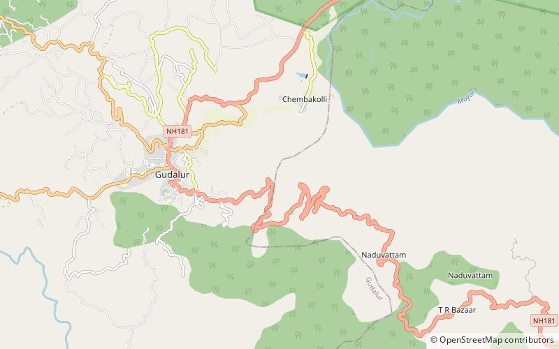 frog hill view point gudalur location map