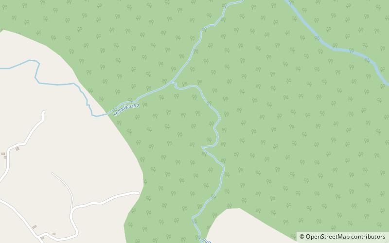 Soochipara Falls location map