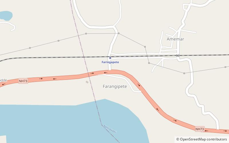 farangipet mangalore location map