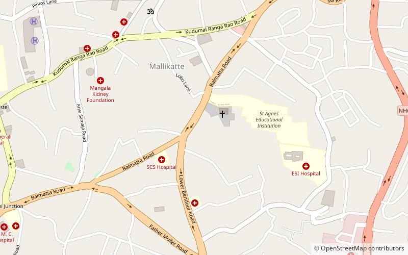 st agnes college mangaluru location map