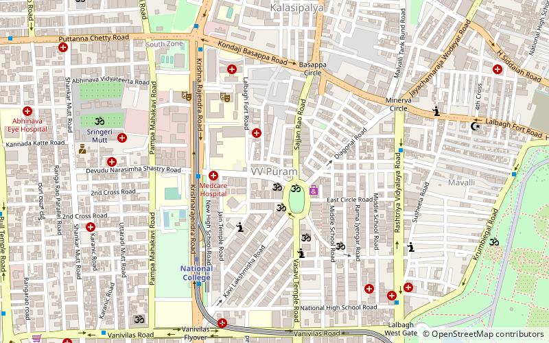 VV Puram Food Street location map