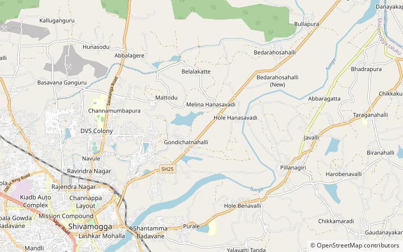 Jawaharlal Nehru National College of Engineering location map