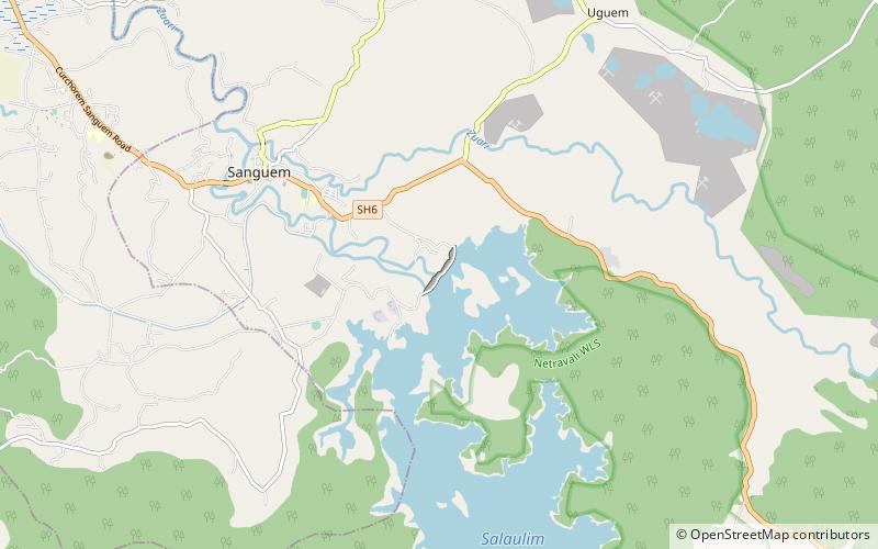Salaulim Dam location map