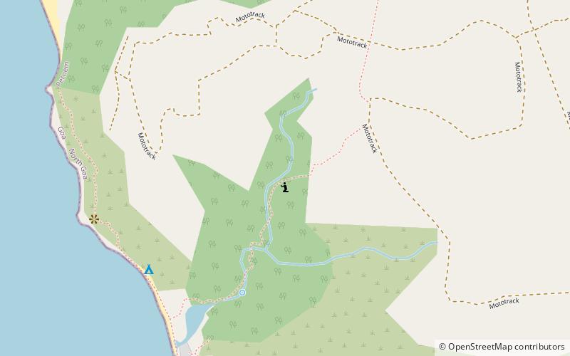 banian tree arambol location map