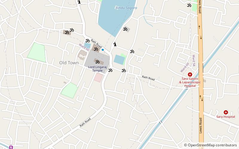 devasabha temple bhubaneswar location map