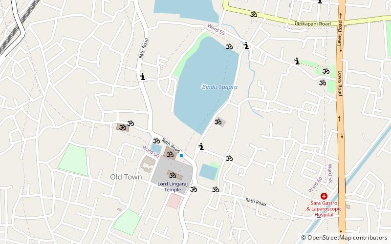 lokanatha siva temple bhubaneswar location map