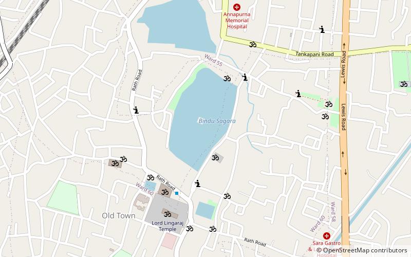 byamokesvara temple bhubaneswar location map