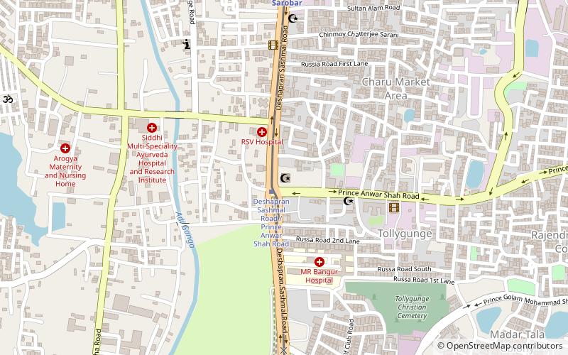 tipu sultan mosque kolkata location map