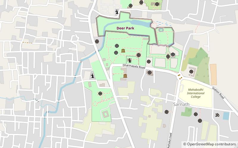 Sarnath Museum location map