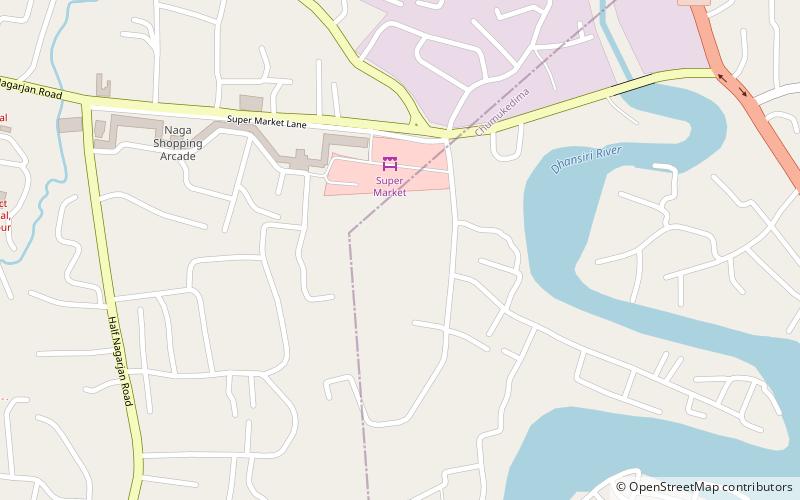 kachari ruins dimapur location map