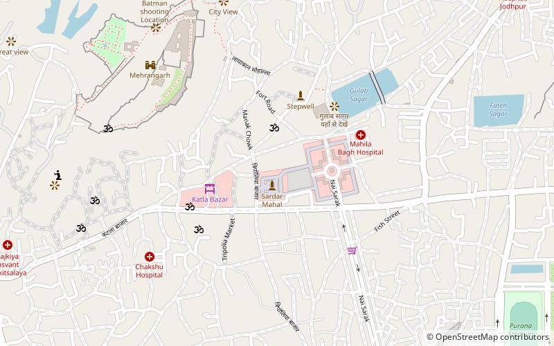 umaid heritage art school jodhpur location map