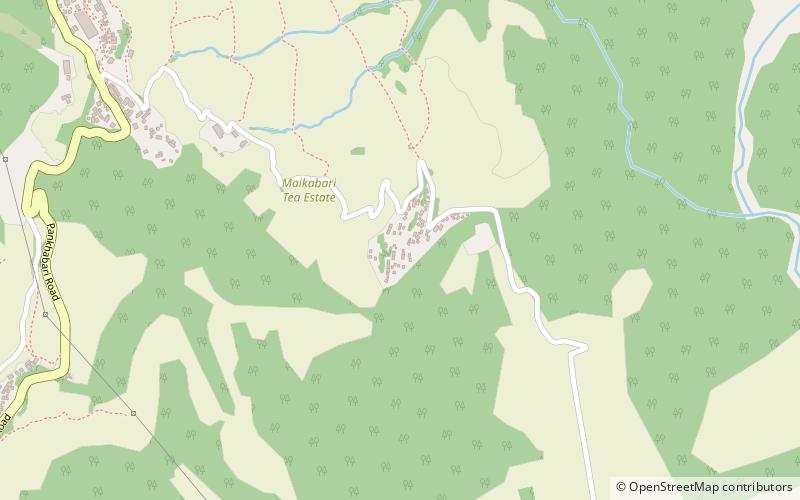 makaibari tea estate kurseong location map
