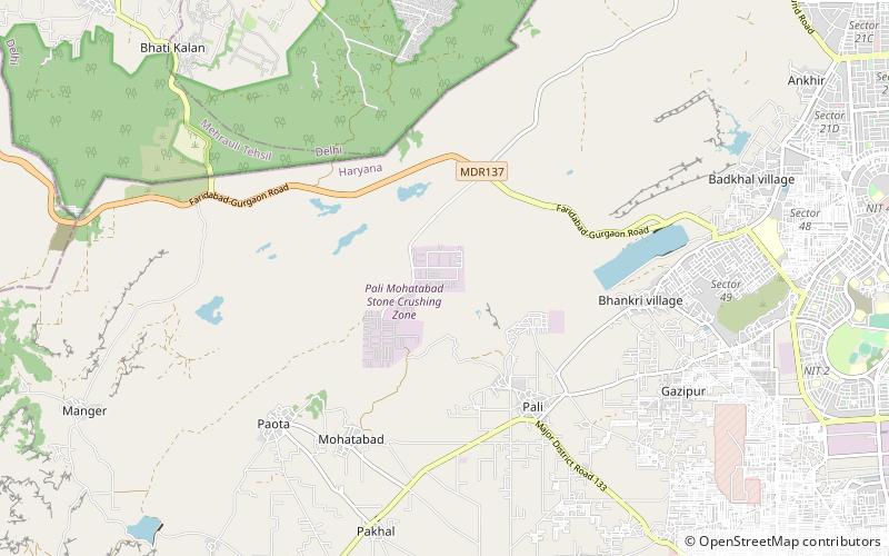 pali village faridabad location map