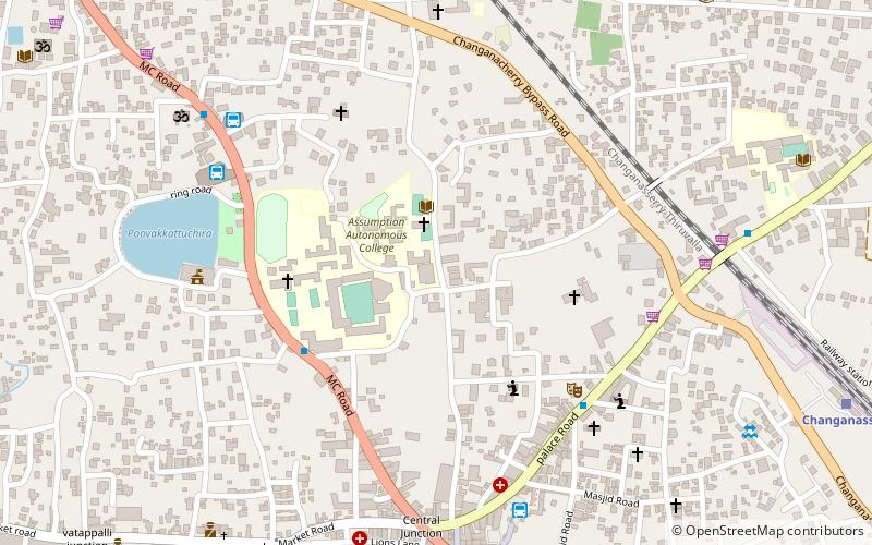 assumption college kottayam location map