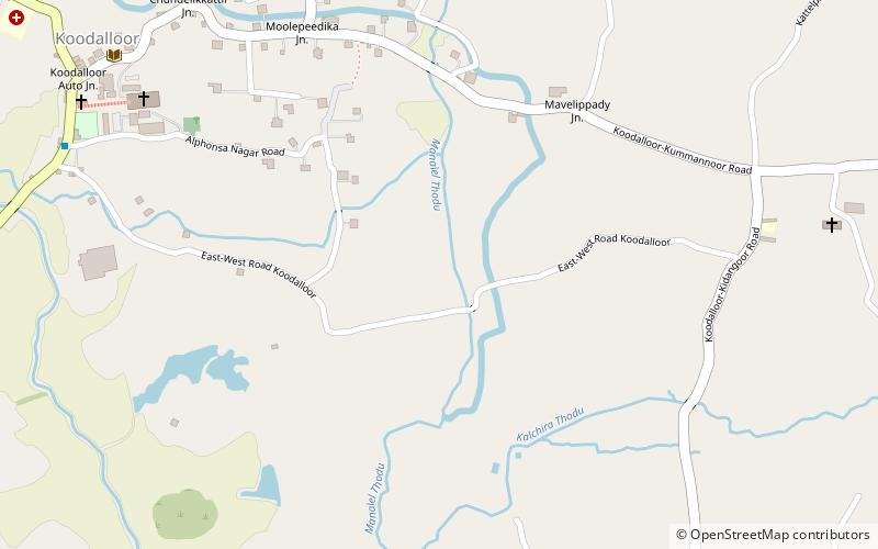 st thomas college palai location map