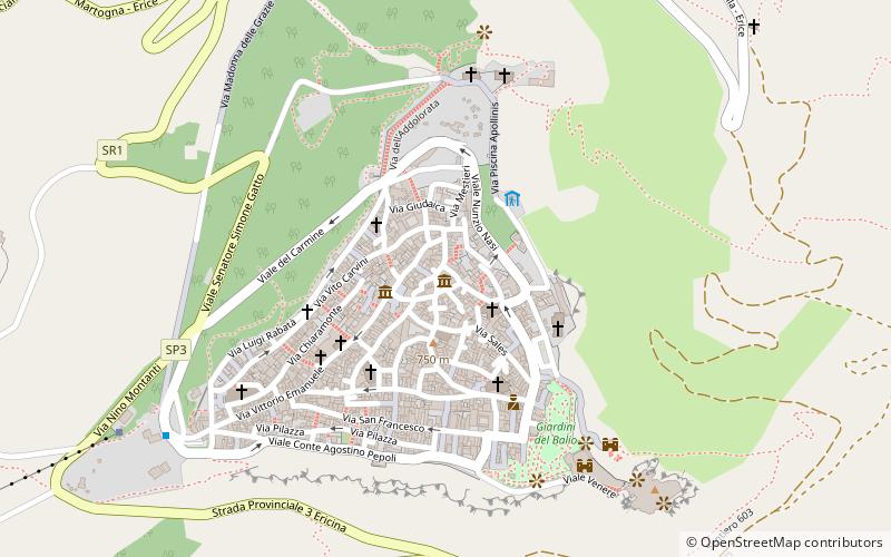 Museo Daniel Chalonge location map