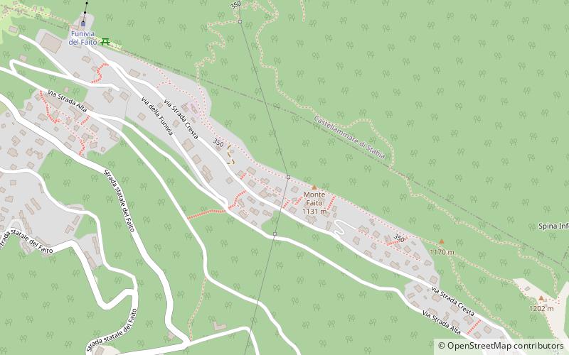 Monte Faito location map