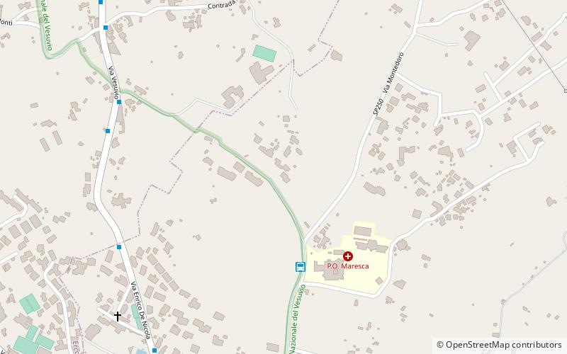 Museo Liverino location map