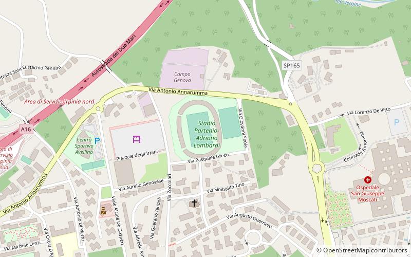 Estadio Partenio-Adriano Lombardi location map